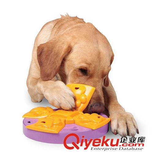 玩具系列 美國KYJEN酷極寵物益智玩具 Dog Game Paw Flapper  爪子翻板