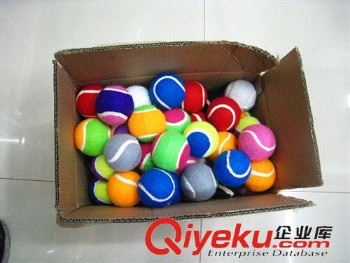 網球廠家多彩網球寵物球玩具球 廠家供應 多樣 多彩彈力0.5米訓練二級寵物網球批發原始圖片2