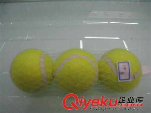 網(wǎng)球廠家多彩網(wǎng)球?qū)櫸锴蛲婢咔?網(wǎng)球廠家 網(wǎng)球批發(fā) 訓(xùn)練網(wǎng)球 筒裝網(wǎng)球