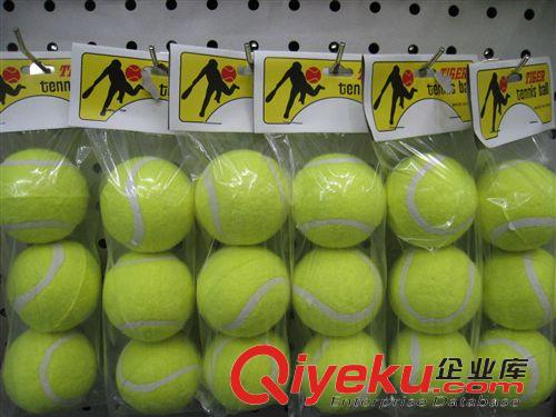 網(wǎng)球廠家多彩網(wǎng)球?qū)櫸锴蛲婢咔?網(wǎng)球廠家二級(jí) 多彩雙色寵物網(wǎng)球 廣告球 批發(fā)原始圖片2