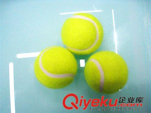 網(wǎng)球廠家多彩網(wǎng)球?qū)櫸锴蛲婢咔?網(wǎng)球廠家 網(wǎng)球批發(fā) 訓(xùn)練網(wǎng)球 筒裝網(wǎng)球原始圖片3