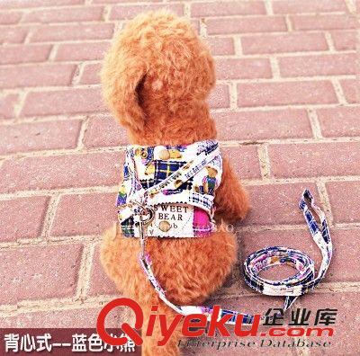 2015 4月上新 寵物泰迪牽引繩狗繩狗鏈子中型小型犬遛狗繩胸背帶小狗戶外牽引繩原始圖片2