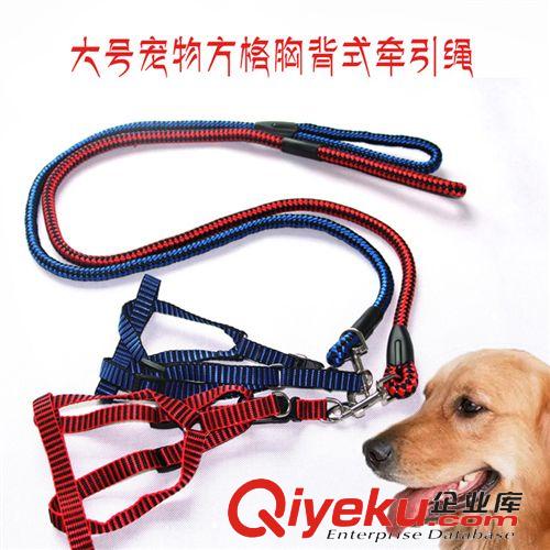 2015 1月上新 19*5簡(jiǎn)裝針長(zhǎng)寵物美毛梳圓柄梳 犬用 犬貓用直排梳 不銹鋼梳子