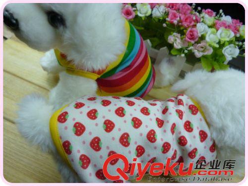 寵物衣服 小背心寵物衣服  不倒絨加厚保暖面料彩虹草莓 秋冬新款寵物衣衣原始圖片3