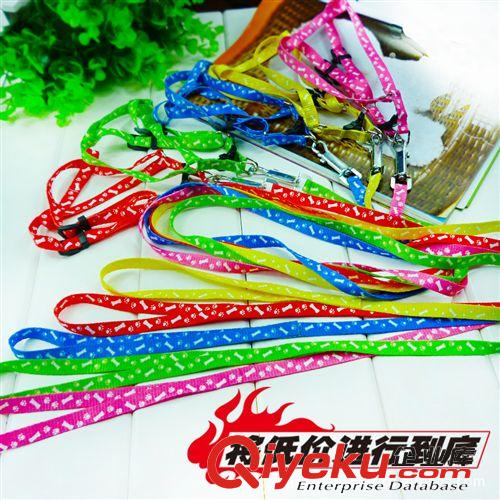 寵物牽引繩項圈 狗繩子印花胸背帶+牽引繩小型犬適用(長120cm寬1cm) 寵物狗繩原始圖片3