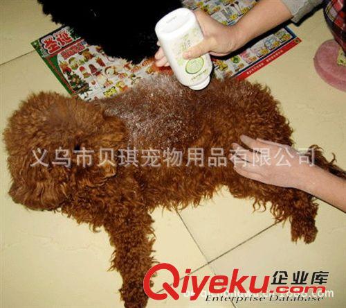 寵物香波浴液 波波康貝樂寵物干洗粉 殺菌除螨 身體除臭 洗澡必備 狗狗藥品原始圖片2