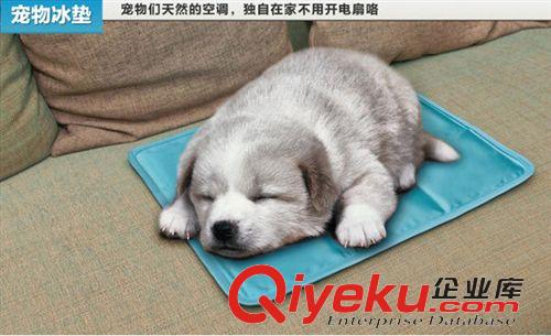 寵物窩/籠/房 批發(fā)冰晶高級(jí)多功能三折寵物冰墊 雙層PVC防漏散熱冰墊 30*40CM原始圖片2