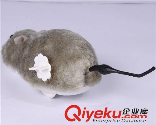 宠物玩具 批发供应 宠物用品　猫玩具 猫薄荷 内配有猫薄荷的摇尾鼠