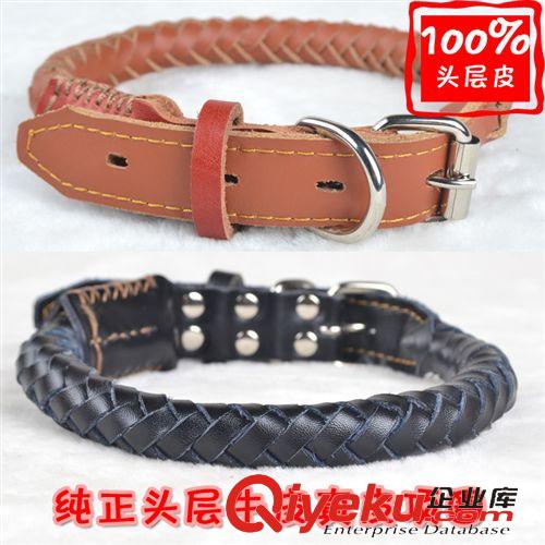 日用品--北京佩它 佩它 0034魅寶天使胸背牽引帶批發(fā)寵物用品淘寶代理