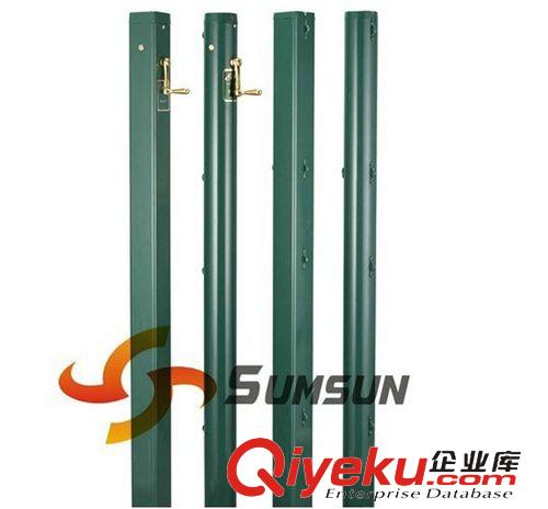 網球柱 精品推薦 實心插地式網球柱 網球柱不銹鋼系列供應原始圖片2