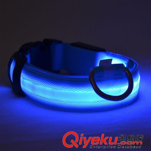 LED發光寵物用品 2.5寬度 寵物用品發光項圈狗項圈LED魚絲網尼龍小中大型犬閃光原始圖片2
