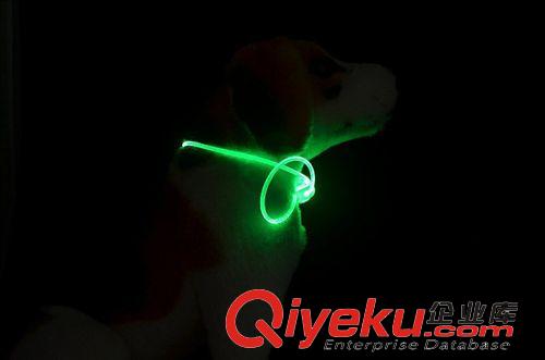 LED發光寵物用品 LED發光寵物項圈 OEM廠家定做 夜光項圈 閃光寵物帶 活動促銷用品原始圖片3