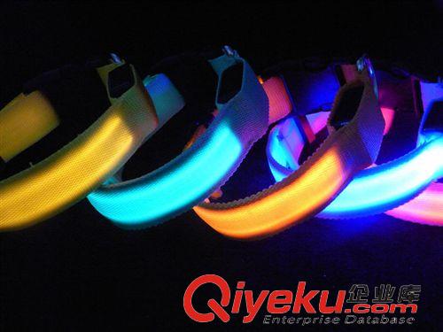 LED發光寵物用品 供應寵物項圈 貓項圈 貓鏈 PU透明寵物項圈 透明貓鏈 小狗用原始圖片3