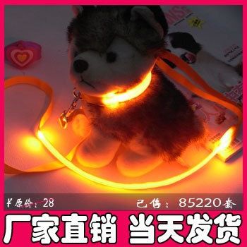 LED發光寵物用品 供應寵物項圈 貓項圈 貓鏈 PU透明寵物項圈 透明貓鏈 小狗用