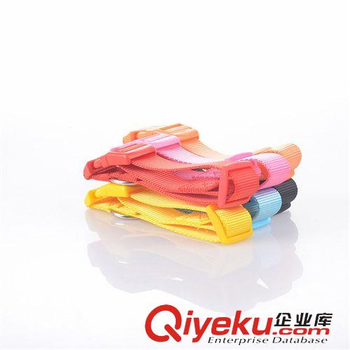 寵物外出牽引套裝 短款 寵物牽引帶 一步牽 多股尼龍狗繩 狗鏈子 中大型犬牽引繩