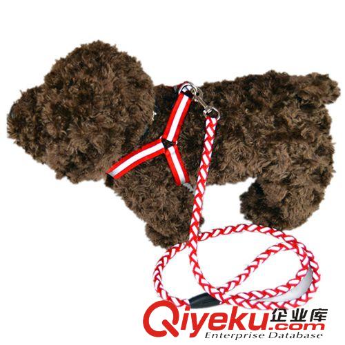 寵物外出牽引套裝 軍綠色頸圈式寵物牽引繩 脖套式寵物牽引繩套 大狗牽引帶鐵鏈條