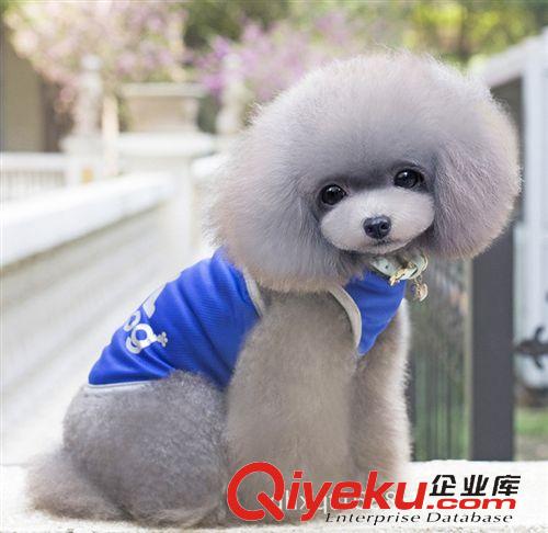 寵物服飾、包包、狗窩 夏天狗衣服 泰迪衣服 ADIDOG透氣網(wǎng)眼背心 寵物春夏衣服原始圖片2