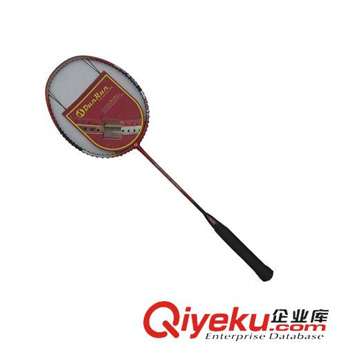 羽毛球拍 加工定制 全碳素纖維羽毛球拍30-760 比賽用羽毛球拍zp原始圖片2