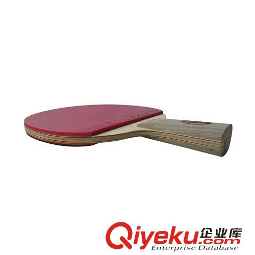 乒乓球拍 供應(yīng)正膠板 反膠板 乒乓球拍 39-736原始圖片3