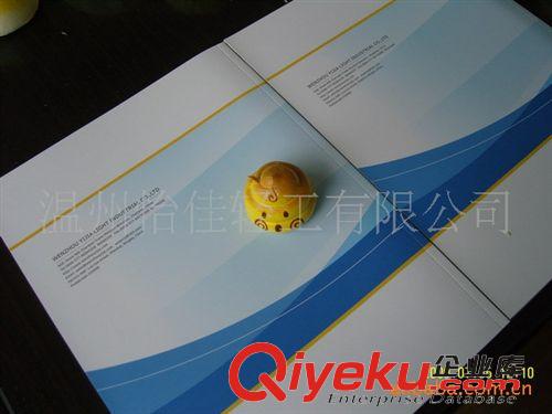 PU水果食物 供應(yīng)PU玩具 廣告贈品 玩具 地球 PU仿真面包原始圖片3