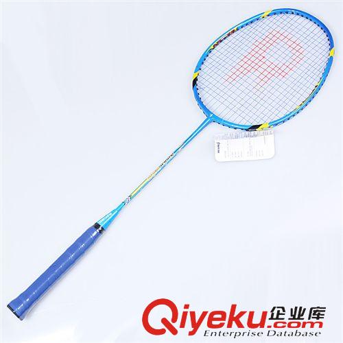 新品專區 雷加爾 R800碳素羽毛球拍 單支裝 訓練 碳纖維 羽毛球拍 批發原始圖片2