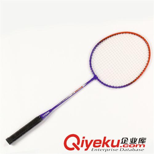 羽毛球拍專區(qū) 雷加爾 789 訓練球拍 練習羽毛拍 羽毛球拍 學生專用球拍原始圖片3