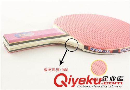 乒乓拍專區(qū) 雷加爾 A406乒乓球拍 批發(fā)乒乓球 插卡 學(xué)生拍 訓(xùn)練拍原始圖片3