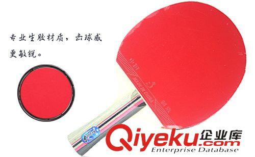 熱銷(xiāo)產(chǎn)品 雷加爾 8010乒乓球拍 訓(xùn)練乒乓球拍套裝送三球 乒乓球拍批發(fā)原始圖片3