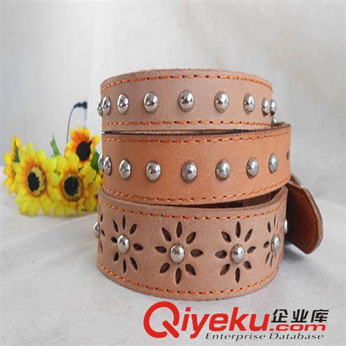 寵物牽引 供應(yīng)寵物項(xiàng)圈 狗狗項(xiàng)圈 寵物用品皮質(zhì)項(xiàng)圈-—大號(hào)原始圖片3