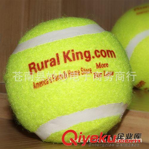 寵物玩具 新品雙11 狗狗玩具網(wǎng)球 優(yōu)質(zhì)寵物網(wǎng)球 美國狗狗用品 6.5cm原始圖片2