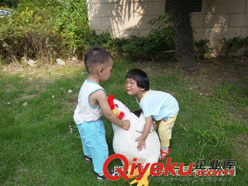 動(dòng)物毛絨玩具 【質(zhì)量上乘】 .供應(yīng)暢銷(xiāo)款手感柔軟舒適大公雞公仔海母絨公雞玩具原始圖片2