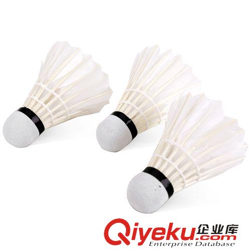 體育用品 南京體育用品 得力風行F2200彎毛訓練羽毛球 tr羽毛 3個裝原始圖片2