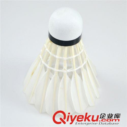 羽毛球 【突破】綠白5號 羽毛球 12只筒裝耐打羽毛球 批發(fā)標準訓練羽毛球原始圖片2
