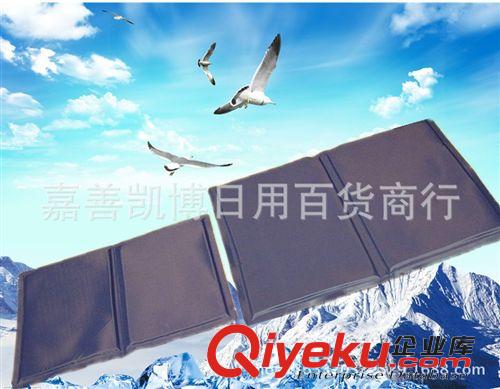 降溫產(chǎn)品/狗窩/電熱毯/毛毯 批發(fā)寵物冰墊 狗狗降溫墊  多功能冰晶冰墊散熱墊 汽車坐墊原始圖片3