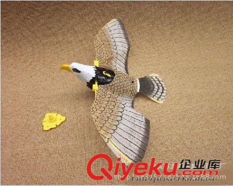力控玩具 2538B電動(dòng)飛鷹 帶鷹叫眼睛發(fā)光電動(dòng)飛鷹 地?cái)偼婢哓浽?電動(dòng)飛鷹原始圖片2