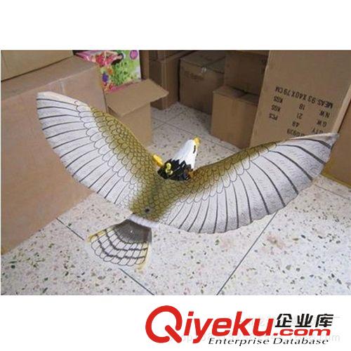 力控玩具 2538B電動(dòng)飛鷹 帶鷹叫眼睛發(fā)光電動(dòng)飛鷹 地?cái)偼婢哓浽?電動(dòng)飛鷹原始圖片3