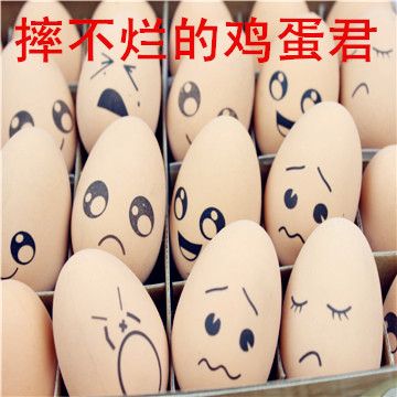 玩具 寵物用品 發(fā)聲流星球 寵物狗玩具 寵物發(fā)聲玩具球 搪膠球