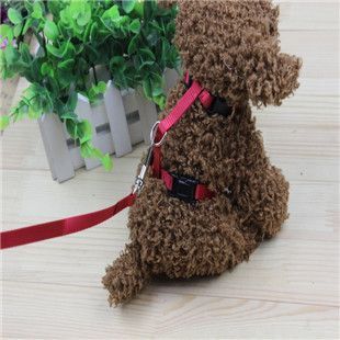 玩具 牽引帶 貓咪牽引帶 工字背帶原始圖片3
