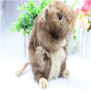 玩具 寵物用品 寵物玩具狗玩具 仿真小松鼠 內帶BB叫 外貿尾單玩具原始圖片2