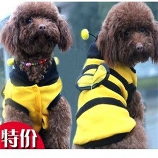 寵物服裝 服飾 人氣秋冬寵物蜜蜂裝 寵物服裝小狗小貓衣服春秋裝泰迪吉娃娃通用原始圖片2