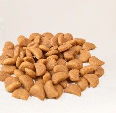 力狼 力狼狗糧 小型犬幼犬牛肉寵物食品犬主糧5kg公斤10斤批發(fā)原始圖片3