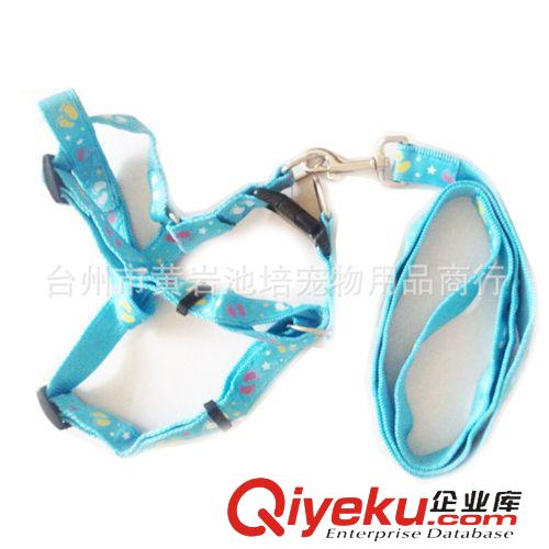 寵物牽引繩項圈 狗繩小型犬狗鏈子泰迪狗狗牽引繩金毛大型犬P鏈P繩寵物項圈狗用品