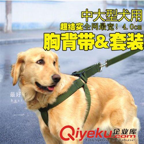 寵物牽引繩項(xiàng)圈 2.5CM軍綠色狗狗寵物胸背帶 超牢胸背牽引帶 狗牽引帶套裝 狗鏈原始圖片3