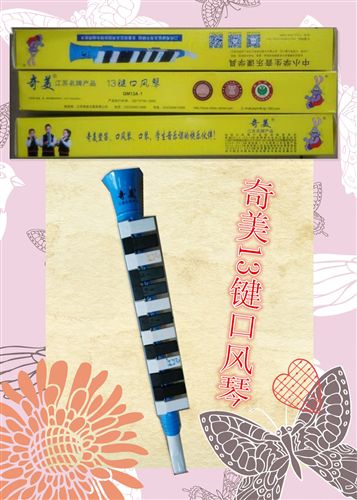 樂器 零售包郵奇美24孔小博士BA板重音口琴學(xué)生音樂課口琴教學(xué)用品