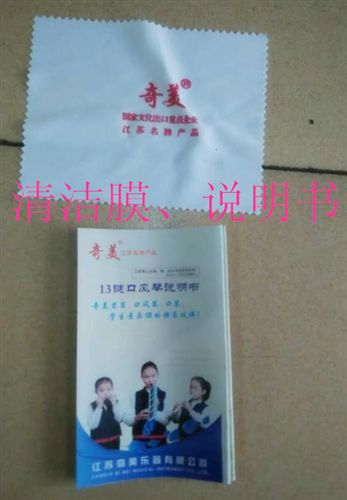 樂(lè)器 zp奇美13鍵口風(fēng)琴 QM13A-1 藍(lán)色款 盒裝 送擦拭布 教材原始圖片3