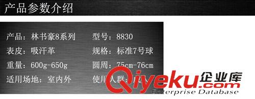 爆款專區(qū) 零售包郵林書豪吸汗材質(zhì)專業(yè)訓(xùn)練籃球 耐磨高彈力8830原始圖片3