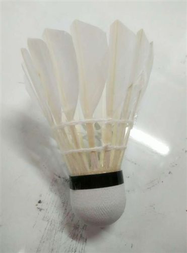 羽毛球系列 零售包郵zp睿志羽毛球 筒裝羽毛球 睿志X系列 一筒12個 彈性好原始圖片2