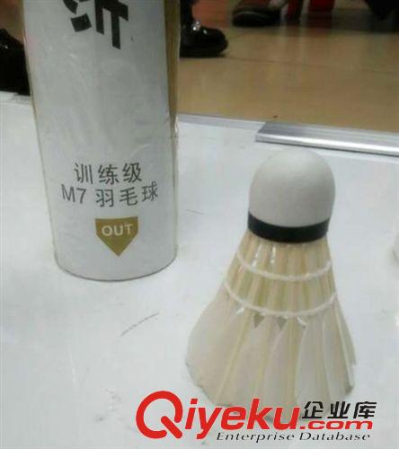 羽毛球系列 零售包郵zp 亞獅龍RSL NO.6號羽毛球 超級耐打 一條裝12個