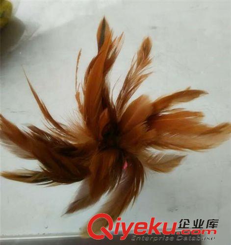 健身器材 雕翎牌 大公雞毛毽子 專業(yè)訓(xùn)練比賽毽球 彩色毽 皮帶底部