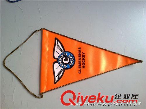 旗幟 供應pvc三角串旗 廣告手搖旗 戶外沙灘旗 專業加工定制原始圖片3